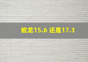 蛟龙15.6 还是17.3